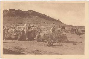 CPA ALGERIE - CARAVANE AU REPOS A LAGHOUAT