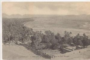 CPA ALGERIE - LAGHOUAT - PANORAMA DE L'OUED M'ZI VUE PRISE DU FORT MORAND