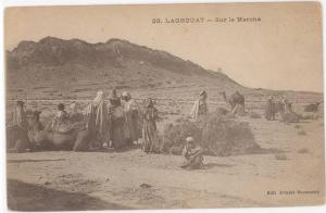 CPA ALGERIE - LAGHOUAT - SUR LE MARCHE