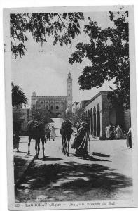 Laghouat  une mosquée du sud  dromadaires, animé