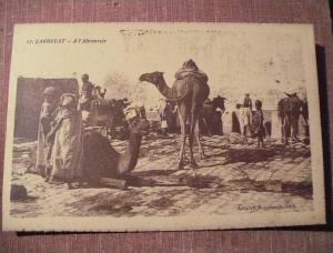 LAGHOUAT A L'ABREVOIR