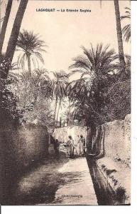 LAGHOUAT - La Grande Seghia.
