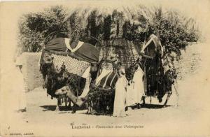 ALGERIE LAGHOUAT CHAMEAUX ET PALANQUINS
