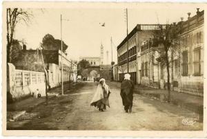 Algérie    Laghouat    Avenue Cassaigne   /8919