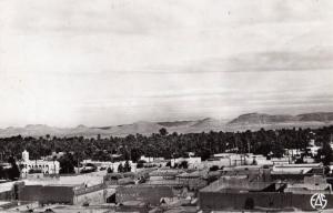 ALGERIE / ALGERIEN         Laghouat    vue de la Palmeraie et le Medersa