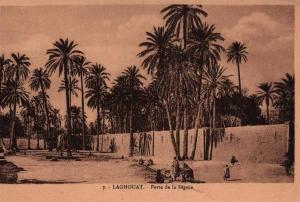 Laghouat. Porte de la Séguia