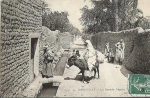 ALGERIE * LAGHOUAT - La Grande Séguia