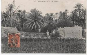 LAGHOUAT UN JARDIN 1910....SUPER ETAT