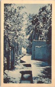 ALGERIE - LAGHOUAT - Grande Seghia