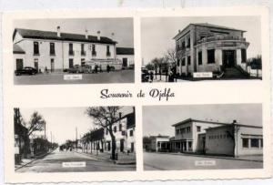 Djelfa  CARTE  MULTIVUE