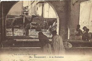 LAGHOUAT   - A LA FONTAINE N° 24