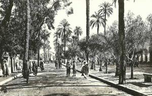 LAGHOUAT ( SUD ALGERIEN) PLACE DES OLIVIERS ET L'EGLISE