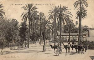LAGHOUAT PLACE DU CHAMEAU ET JARDIN PUBLIC ANIMEE