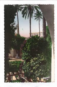 Laghouat         Jardins de la Commune Mixte