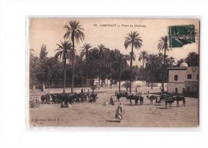 ALGERIE Laghouat Place du Chameau, animée, ed IKdéale PS 23, 1910