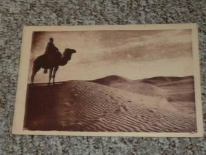 CPA, Carte Postale, Algérie, Laghouat, dans la mer de sable, animée