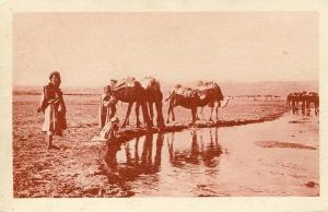 LAGHOUAT - L'Oued M'zi, animé