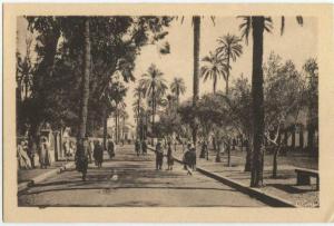 LAGHOUAT - Place des Oliviers