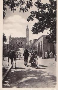 Algérie -  Laghouat - La Grande Mosquée