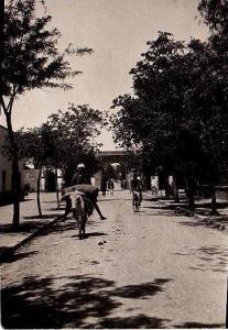 PHOTO DE LAGHOUAT  UNE RUE  1927