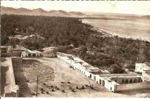 LAGHOUAT Une partie de l'Oasis Nord