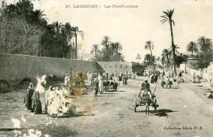 Laghouat - les fortifications  attelage avec ane