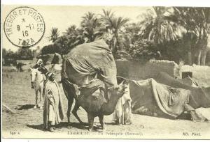 Algérie -  LAGHOUAT - UN PALANQUIN (BASSOUR) belle animation - voyagé en 1916 - N.D. PHOTO