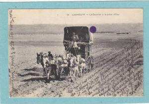 LAGHOUAT  -  Le Courrier à la prise d´Eau  - 1915  - BELLE CARTE ANIMEE  -