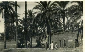 AFRIQUE- ALGERIE - LAGHOUAT - DANS LE CHEMIN DE RONDE - CARTE PHOTO