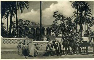 AFRIQUE- ALGERIE -  LAGHOUAT - HOTEL TRANSATLANTIQUE   CARTE PHOTO