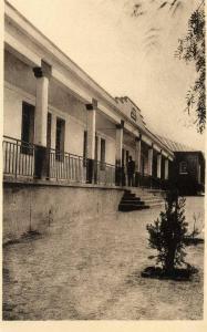 AFRIQUE- ALGERIE -  R.A.D.I.N.A. TRANSMISSIONS - EDITEUR EFGE ORAN