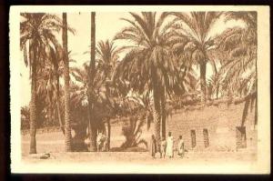 LAGHOUAT - Dans le chemin de ronde - (Beau plan animé)