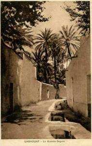 LAGHOUAT  - La Grande Seguia  -  BELLE CARTE -