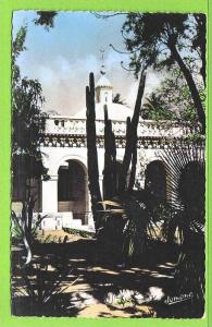 LAGHOUAT - JARDIN EXOTIQUE - Carte écrite en 1962