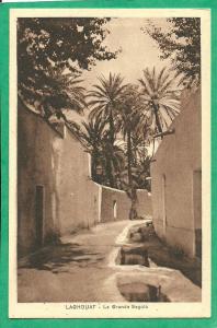 LAGHOUAT LA GRANDE SEGUIA