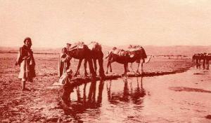 LAGHOUAT...L'OUED M'ZI.....CPA ANIMEE...