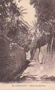 ALGERIE LAGHOUAT  Dans les Jardins 22 Edit Attalhah bouameur