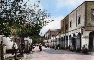 ALGERIE LAGHOUAT - Avenue Marguerite Pub Camelia sports Animé