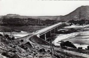 ALGERIE LAGHOUAT - Le pont sur l'Oued M'Zi