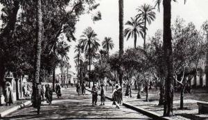 ALGERIE LAGHOUAT - Place des Oliviers et l'église