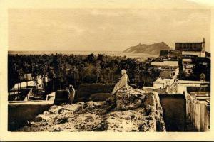 Laghouat - Palmeraie et Montagne du Chien