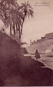 Laghouat  un coin de l'oasis