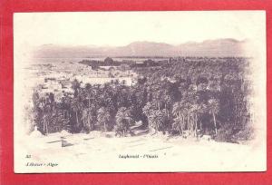 LAGHOUAT -  L' Oasis