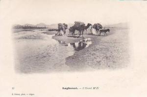 ALGERIE.LAGHOUAT.L OUED M ZI