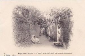 ALGERIE.LAGHOUAT.RUELLE DE L OASIS PRES DE L AVENUE CASSAIGNE