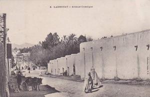 ALGERIE.LAGHOUAT.AVENUE CASSAIGNE