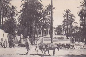 ALGERIE.LAGHOUAT.LA MAIRIE