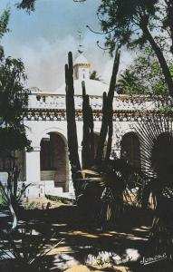 LAGHOUAT cpsm Jardin Exotique        170 Jomone