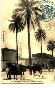 R 1007  CPA  ALGERIE  -- LAGHOUAT      PLACE DU CHAMEAU  ET MOSQUEE
