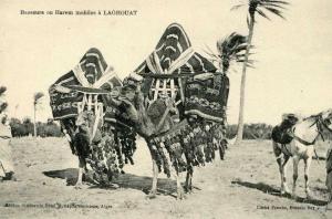 N°4646 -cpa Bassours ou Harem mobiles à Laghouat